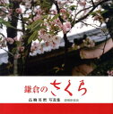 【中古】鎌倉のさくら 高柳英麿写真集 増補新装版/銀の鈴社/高柳英麿(大型本)
