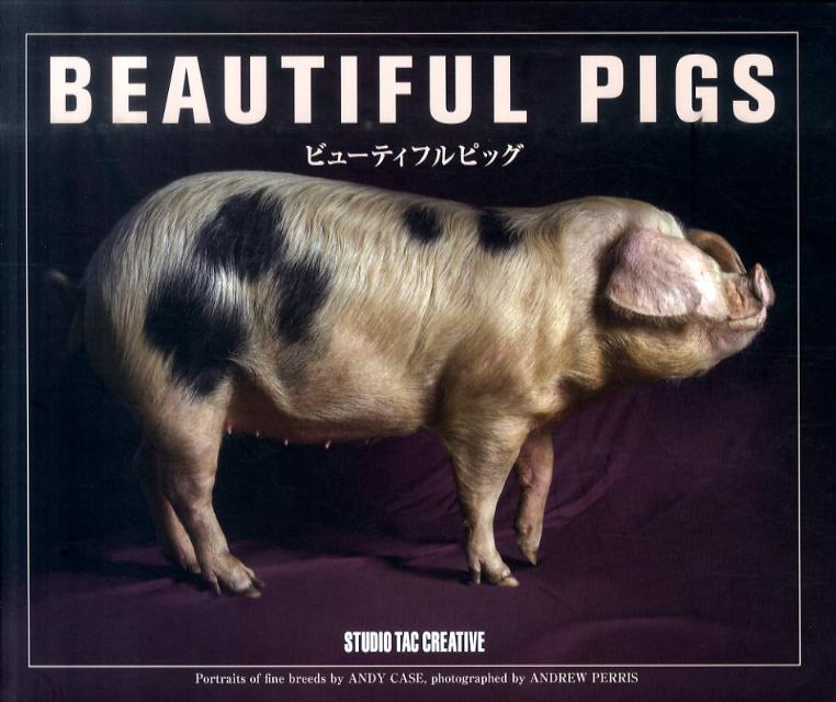 【中古】ビュ-ティフルピッグ /スタジオタッククリエイティブ/アンディ-・ケ-ス（大型本）