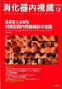 【中古】消化器内視鏡 Vol.31 No.12(20/東京医学社/消化器内視鏡編集委員会(単行本)