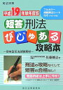 【中古】短答刑法びじゅある攻略本 司法試験 平成19年単年度版/辰已法律研究所/佐藤剛志(単行本)