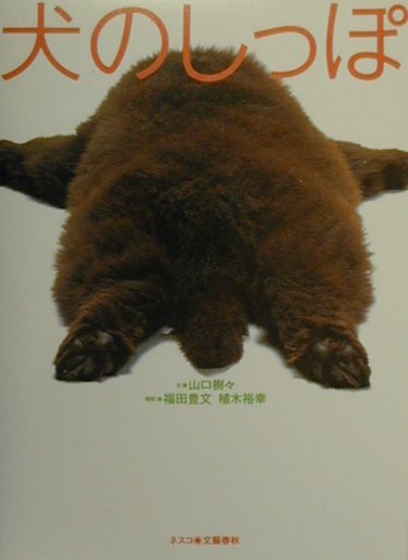 【中古】犬のしっぽ /文春ネスコ/山口樹々（単行本）