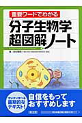 【中古】分子生物学超図解ノ-ト 重要ワ-ドでわかる /羊土社/田村隆明（単行本）