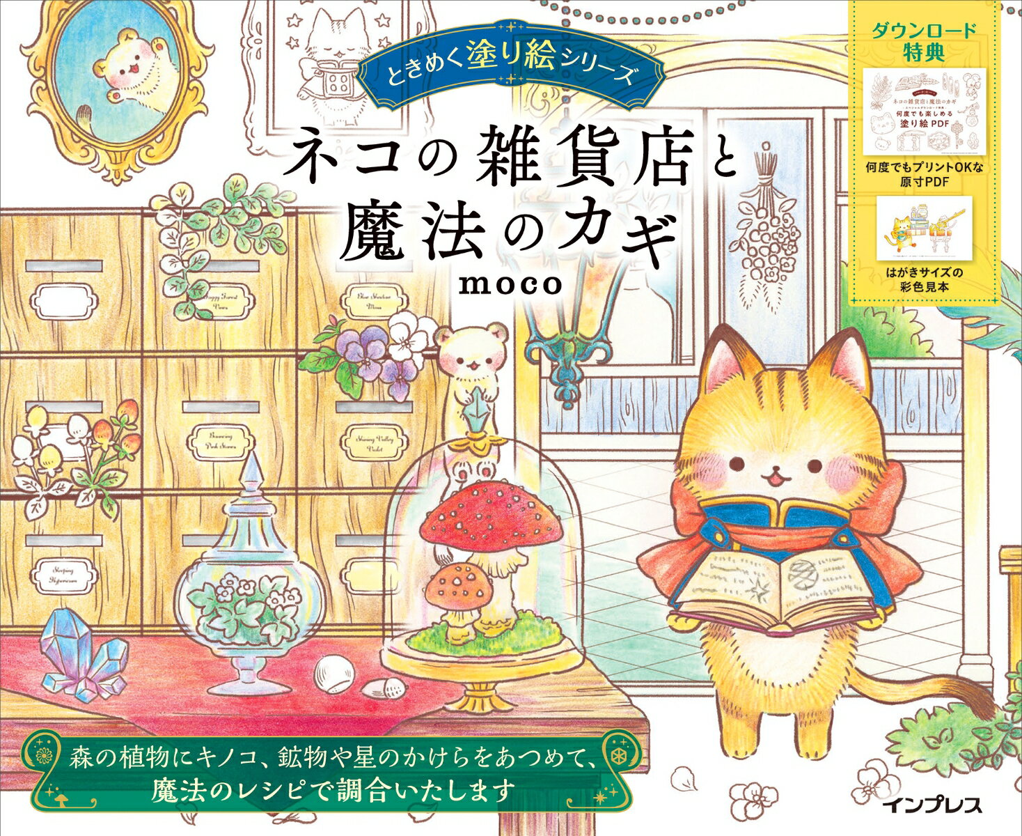 商品画像