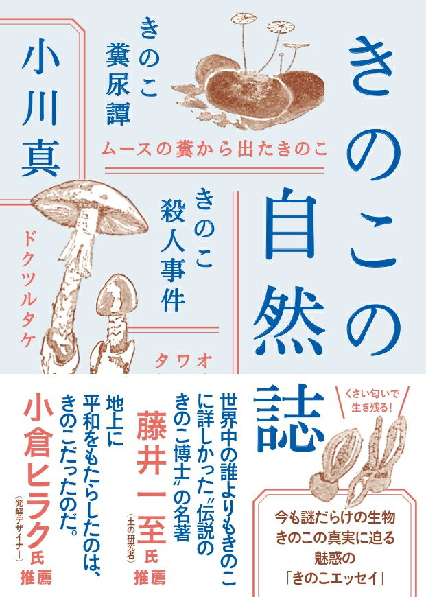 【中古】きのこの自然誌 /山と渓谷社/小川真（文庫）