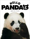 【中古】HELLO PANDAと 楓浜とハローパンダと。/エムピ-ジェ-/小澤千一朗(単行本)