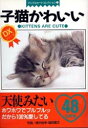 【中古】子猫かわいい/どうぶつ出版/植木裕幸(文庫)