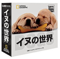 【中古】イヌの世界 ナショナルジオグラフィック/日経ナショナルジオグラフィック社/ヴィト・ブオノ（単行本）