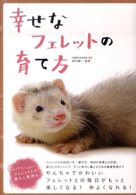 【中古】幸せなフェレットの育て方 /大泉書店/田向健一（単行本）