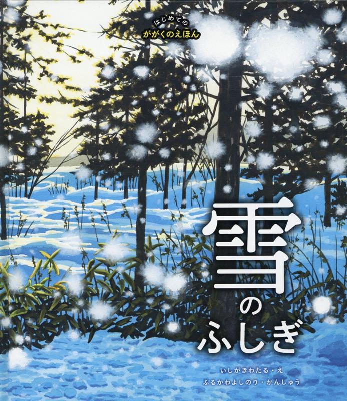【中古】月のふしぎ /マイルスタッフ/大沼崇（大型本）