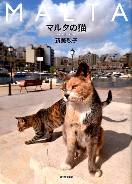 【中古】マルタの猫 /河出書房新社/新美敬子（単行本）