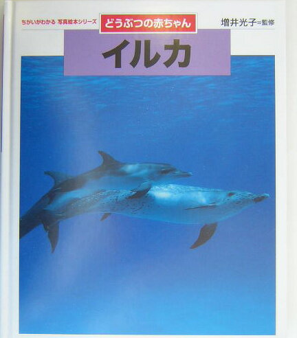 【中古】イルカ どうぶつの赤ちゃん/金の星社/増井光子（大型本）