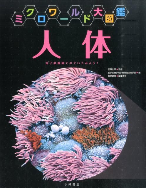 【中古】人体 電子顕微鏡でのぞいてみよう！/小峰書店/医学生物学電子顕微鏡技術学会（大型本）