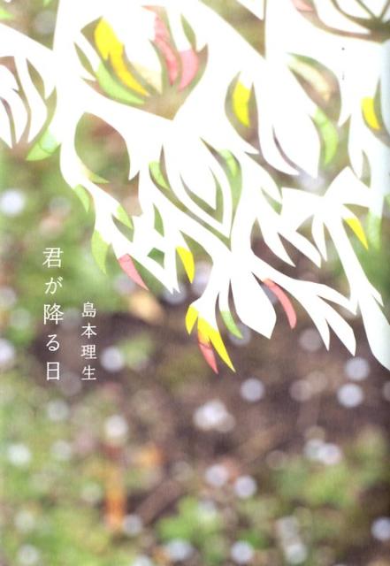 Author Name: Ya: Ra: Wa Line - 【中古】君が降る日 /幻冬舎/島本理生（単行本）