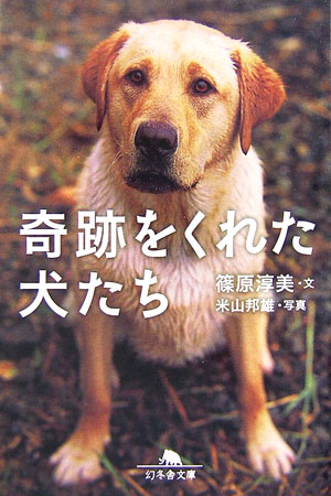【中古】奇跡をくれた犬たち /幻冬舎/篠原淳美（文庫）