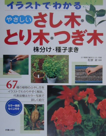 【中古】やさしいさし木・とり木・つぎ木 株分け・種子まき/新星出版社/松家昇（単行本）