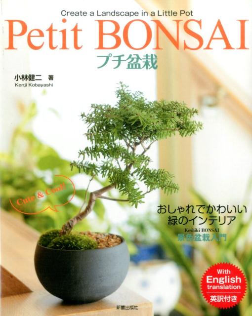 【中古】プチ盆栽 景色盆栽入門 /新星出版社/小林健二（景色盆栽作家）（単行本）