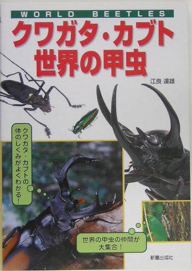 【中古】クワガタ・カブト・世界の甲虫 /新星出版社/江良達雄（単行本）