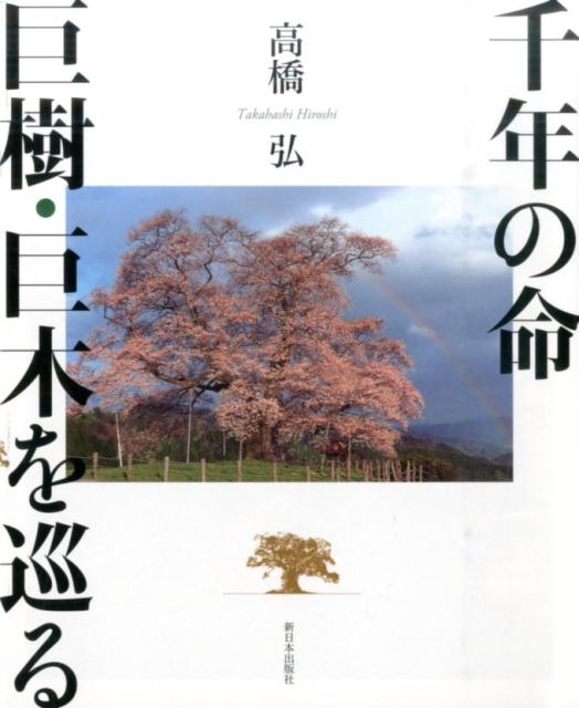 【中古】千年の命巨樹・巨木を巡る /新日本出版社/高橋弘（巨樹写真家）（単行本）