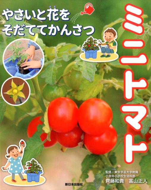 【中古】ミニトマト/新日本出版社/東京学芸大学附属小金井小学校生活科部（単行本）