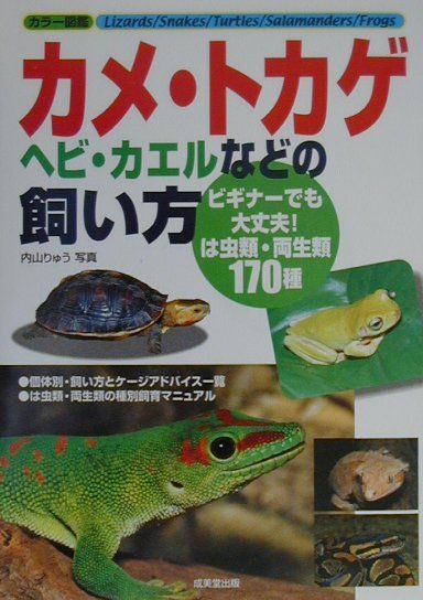 【中古】カメ・トカゲ・ヘビ・カエルなどの飼い方 ビギナ-でも大丈夫！は虫類・両生類170種 /成美堂出版/内山りゅう（単行本）