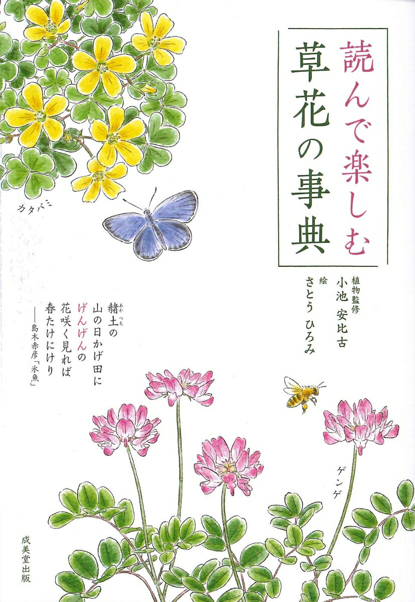 【中古】読んで楽しむ草花の事典/成美堂出版/小池安比古（単行本）