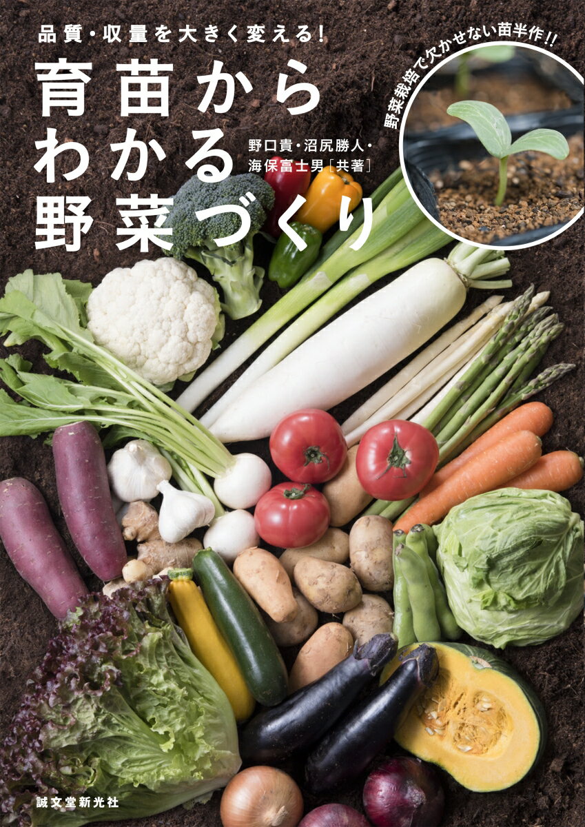 【中古】育苗からわかる野菜づくり 品質・収量を大きく変える/誠文堂新光社/野口貴（単行本）