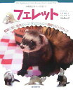【中古】フェレット 小動物ビギナ-ズガイド/誠文堂新光社/大野瑞絵(単行本)