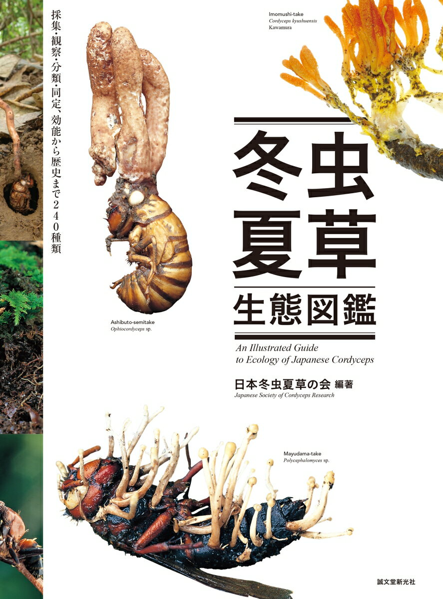 楽天市場】冬虫夏草 図鑑の通販