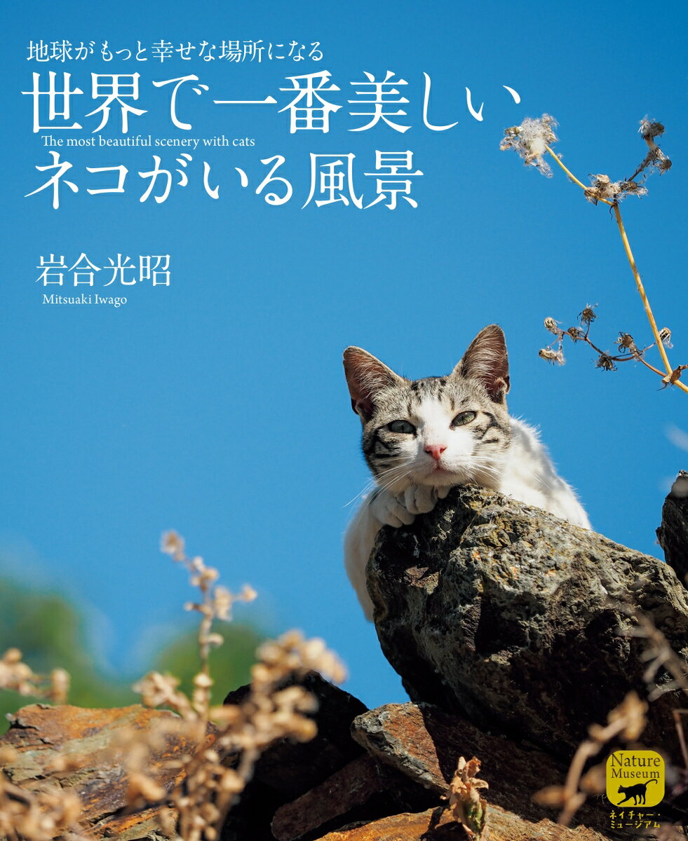 ◆◆◆おおむね良好な状態です。中古商品のため使用感等ある場合がございますが、品質には十分注意して発送いたします。 【毎日発送】 商品状態 著者名 岩合光昭 出版社名 誠文堂新光社 発売日 2024年10月16日 ISBN 9784416723579