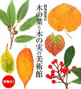 【中古】群馬直美の木の葉と木の実の美術館 実物大! /世界文化社/群馬直美(単行本)