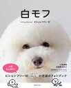 【中古】白モフ A Dog Named ビションフリーゼ/世界文化社(単行本)