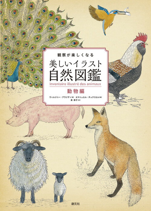 【中古】観察が楽しくなる美しいイラスト自然図鑑　動物編/創元社/ヴィルジニー・アラジディ（単行本）