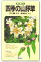 【中古】四季の山野草 見て楽しむ/創元社/夏梅陸夫(新書)