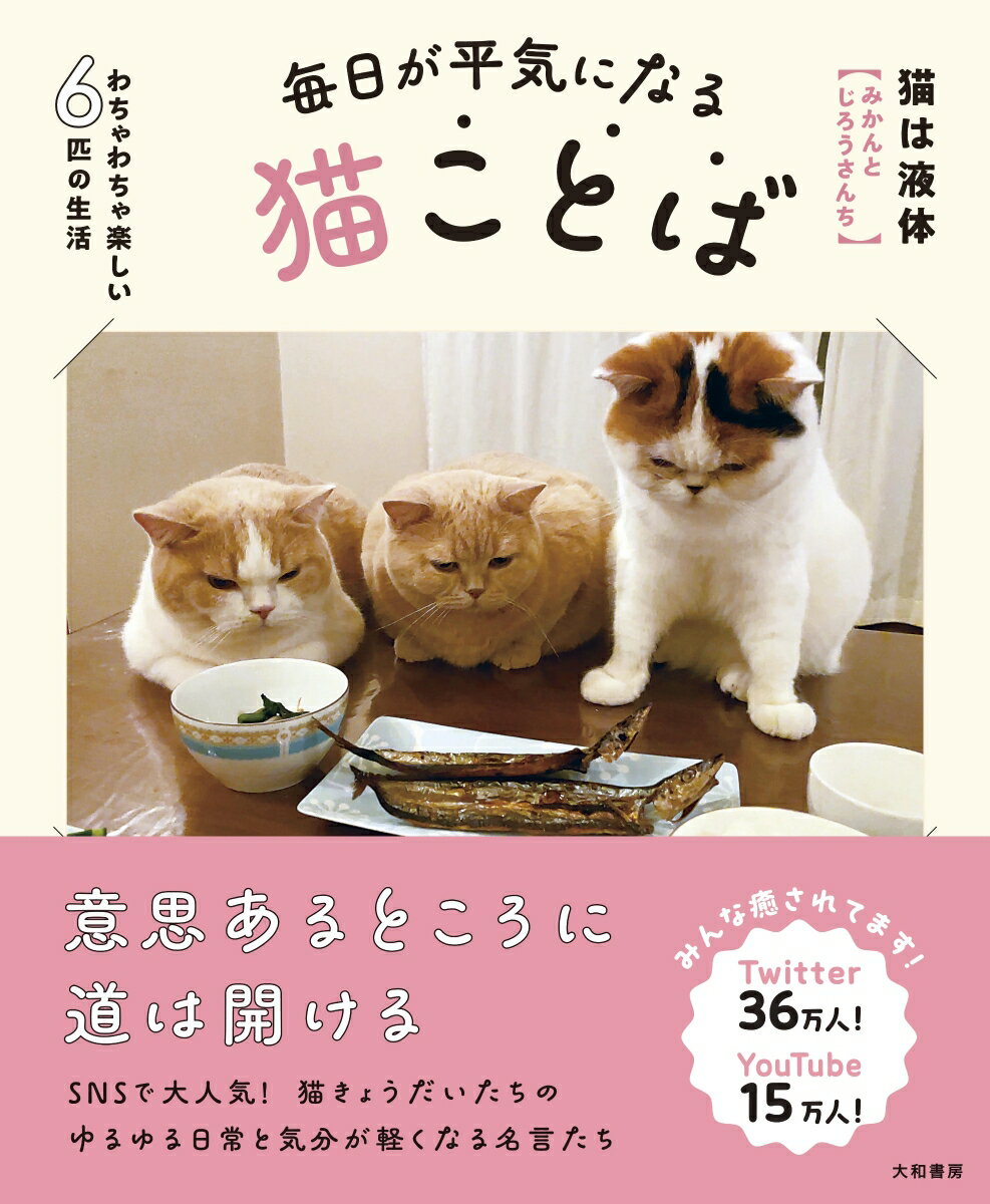 【中古】毎日が平気になる猫ことば/大和書房/猫は液体（単行本（ソフトカバー））