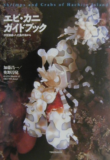 šۥӡ˥ɥ֥å Ʀ硦Ȭγ /TBS֥꥿˥/ƣñܡʥեȥСˡ