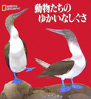 【中古】動物たちのゆかいなしぐさ /大日本絵画/きたむらまさお（大型本）