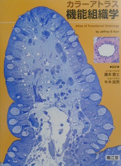 ◆◆◆おおむね良好な状態です。中古商品のため使用感等ある場合がございますが、品質には十分注意して発送いたします。 【毎日発送】 商品状態 著者名 ジェフリ−・B．カ−、藤本豊士 出版社名 南江堂 発売日 2001年4月20日 ISBN 9784524220687