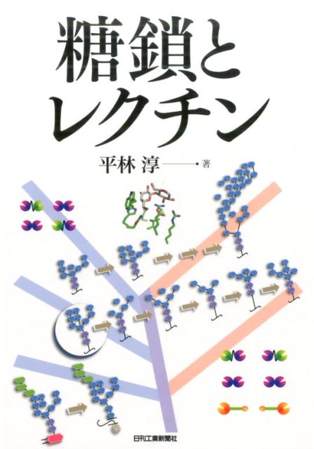 【中古】糖鎖とレクチン /日刊工業新聞社/平林淳（単行本）