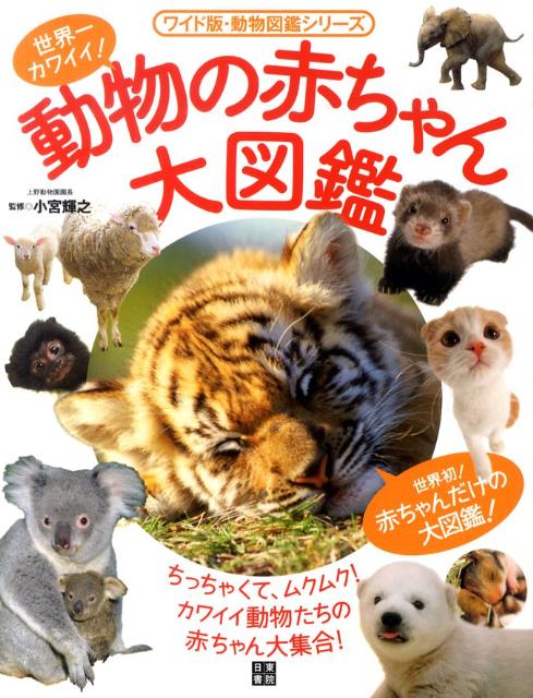 【中古】動物の赤ちゃん大図鑑 世界一カワイイ！ /日東書院本社/小宮輝之（単行本（ソフトカバー））