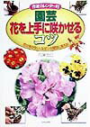 【中古】園芸花を上手に咲かせるコツ 花が咲かない、なぜ？の疑問に答える！/日本文芸社/穴澤浩巳（単行本）
