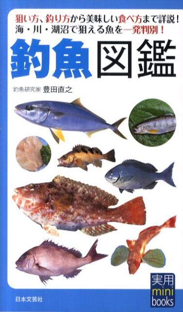 【中古】釣魚図鑑 /日本文芸社/豊田直之（新書）