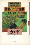 【中古】図解群境介のミニ盆栽 野山の自然をインテリアに 8 /農山漁村文化協会/群境介（単行本）