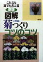 【中古】図解菊つくりコツのコツ これなら誰でも名人芸 新版/農山漁村文化協会/上村遙(単行本)