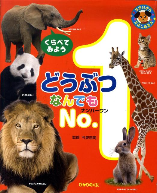 【中古】どうぶつなんでもno．1 くらべてみよう/ひかりのくに/今泉忠明（大型本）