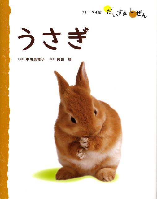 【中古】うさぎ /フレ-ベル館/中川美穂子（大型本）