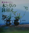 【中古】雑木林のように、木と草の鉢植え/文化出版局/松本尚子(大型本)
