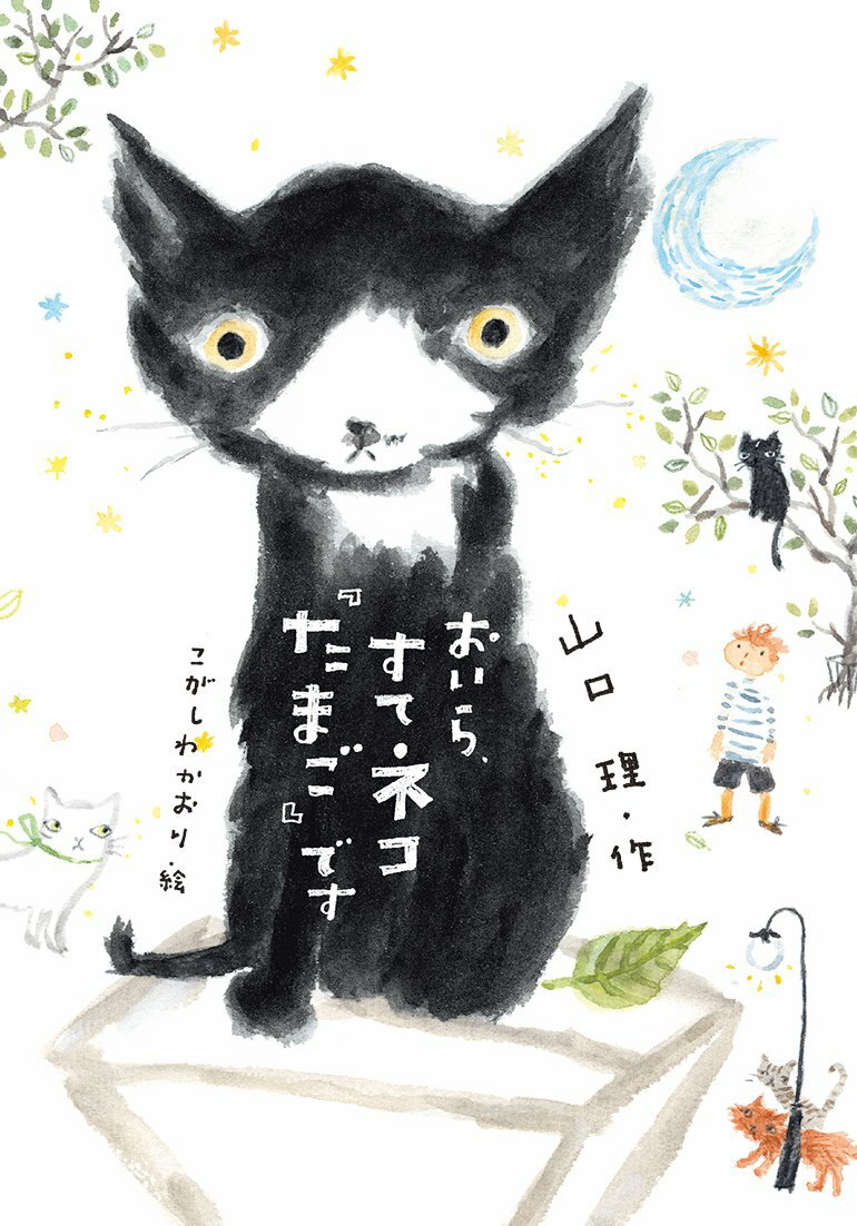 【中古】おいら、すてネコ『たまご』です/文研出版/山口理（単行本）