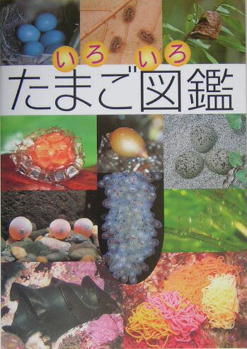 【中古】いろいろたまご図鑑 /ポプラ社（単行本）