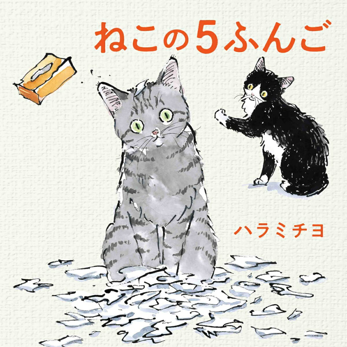 【中古】ねこの5ふんご/白泉社/ハラミチヨ（大型本）