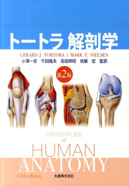 【中古】ト-トラ解剖学 第2版/丸善出版/ジェラルド J．ト-トラ（大型本）